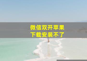 微信双开苹果下载安装不了