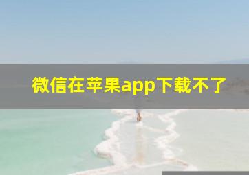 微信在苹果app下载不了