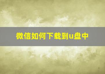 微信如何下载到u盘中