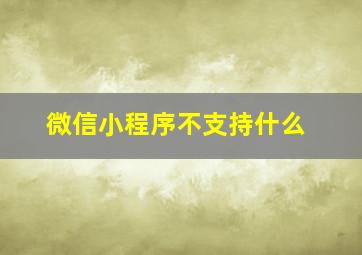 微信小程序不支持什么