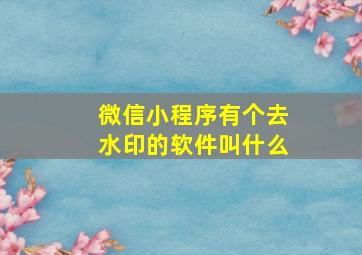 微信小程序有个去水印的软件叫什么