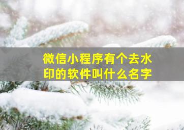 微信小程序有个去水印的软件叫什么名字