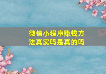 微信小程序赚钱方法真实吗是真的吗