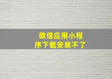 微信应用小程序下载安装不了