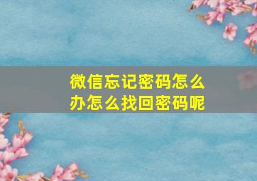 微信忘记密码怎么办怎么找回密码呢