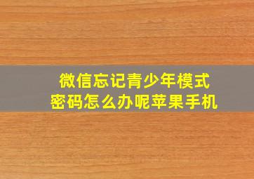 微信忘记青少年模式密码怎么办呢苹果手机