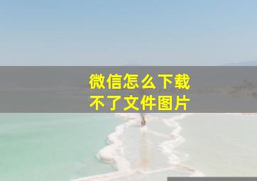 微信怎么下载不了文件图片