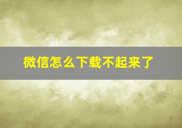 微信怎么下载不起来了