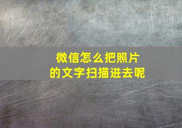 微信怎么把照片的文字扫描进去呢