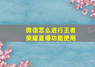 微信怎么进行王者荣耀直播功能使用