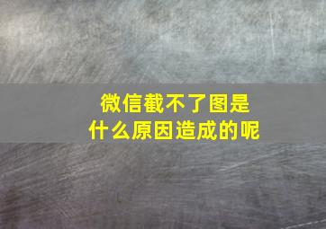 微信截不了图是什么原因造成的呢