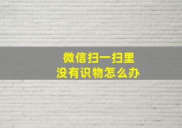 微信扫一扫里没有识物怎么办