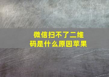 微信扫不了二维码是什么原因苹果