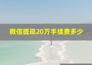 微信提现20万手续费多少