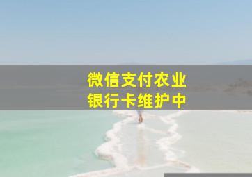 微信支付农业银行卡维护中