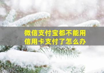 微信支付宝都不能用信用卡支付了怎么办