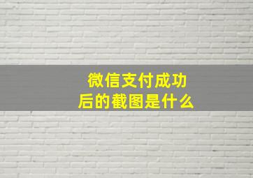 微信支付成功后的截图是什么