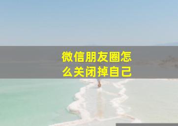 微信朋友圈怎么关闭掉自己