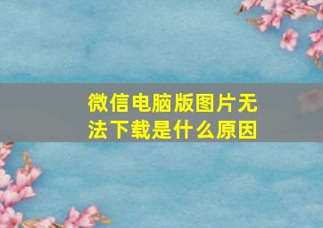 微信电脑版图片无法下载是什么原因