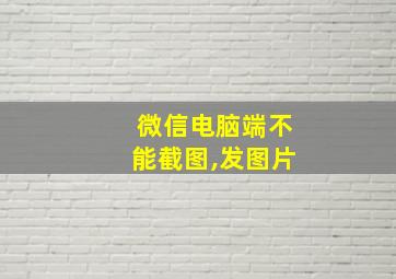 微信电脑端不能截图,发图片