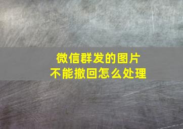 微信群发的图片不能撤回怎么处理