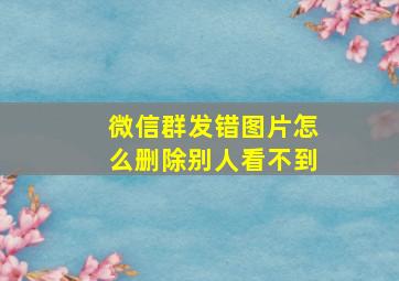 微信群发错图片怎么删除别人看不到