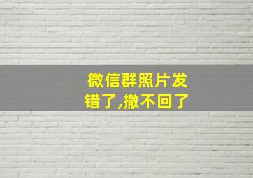 微信群照片发错了,撤不回了