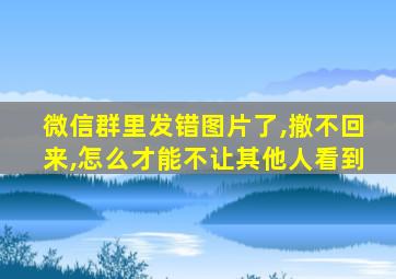 微信群里发错图片了,撤不回来,怎么才能不让其他人看到