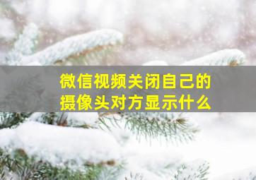 微信视频关闭自己的摄像头对方显示什么