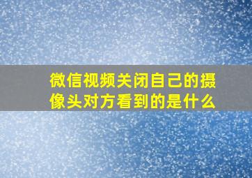 微信视频关闭自己的摄像头对方看到的是什么