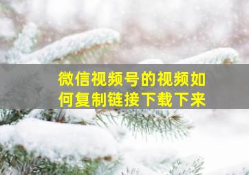 微信视频号的视频如何复制链接下载下来