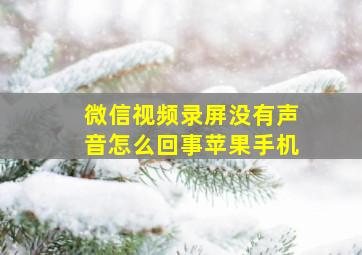 微信视频录屏没有声音怎么回事苹果手机