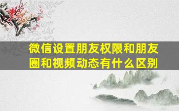 微信设置朋友权限和朋友圈和视频动态有什么区别