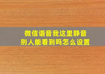 微信语音我这里静音别人能看到吗怎么设置