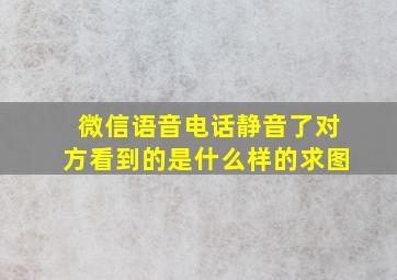 微信语音电话静音了对方看到的是什么样的求图