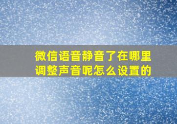 微信语音静音了在哪里调整声音呢怎么设置的