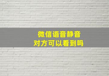 微信语音静音对方可以看到吗