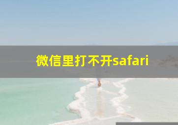 微信里打不开safari