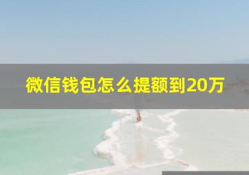 微信钱包怎么提额到20万