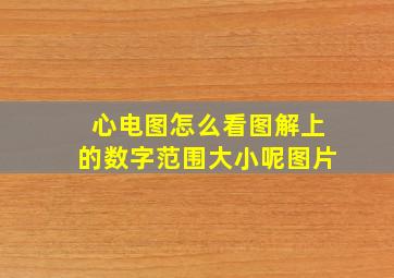 心电图怎么看图解上的数字范围大小呢图片