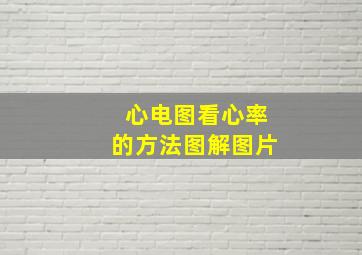 心电图看心率的方法图解图片