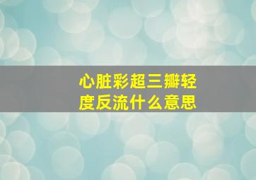 心脏彩超三瓣轻度反流什么意思