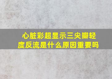 心脏彩超显示三尖瓣轻度反流是什么原因重要吗