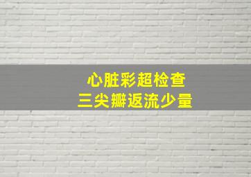 心脏彩超检查三尖瓣返流少量