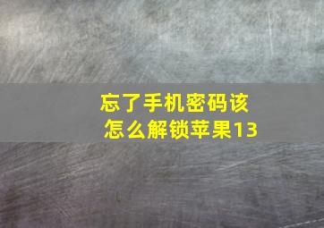 忘了手机密码该怎么解锁苹果13