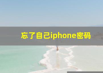 忘了自己iphone密码