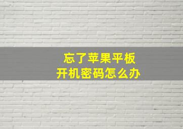 忘了苹果平板开机密码怎么办