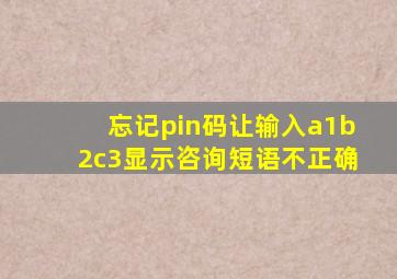 忘记pin码让输入a1b2c3显示咨询短语不正确