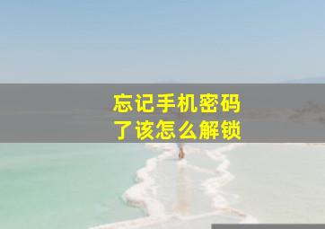 忘记手机密码了该怎么解锁