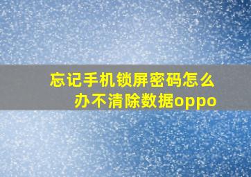 忘记手机锁屏密码怎么办不清除数据oppo